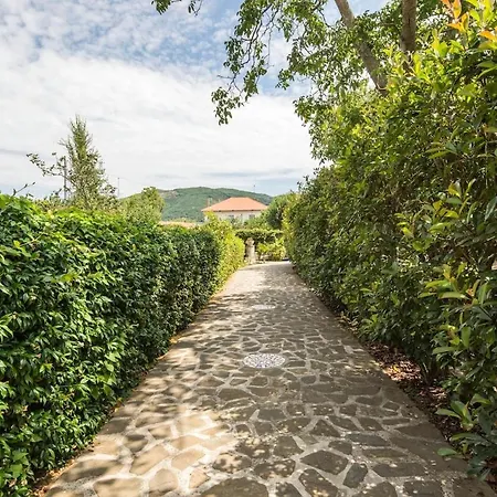 House I Gelsomini